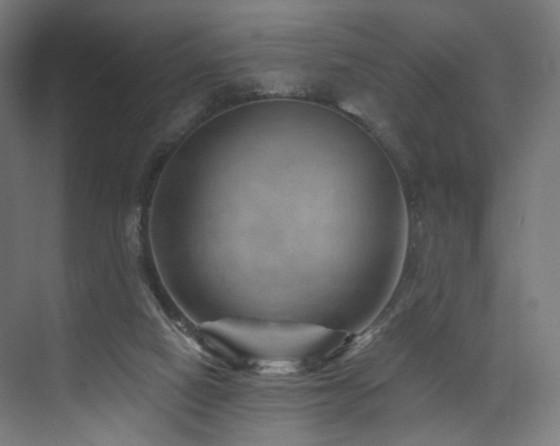 X0000074040066200608211529