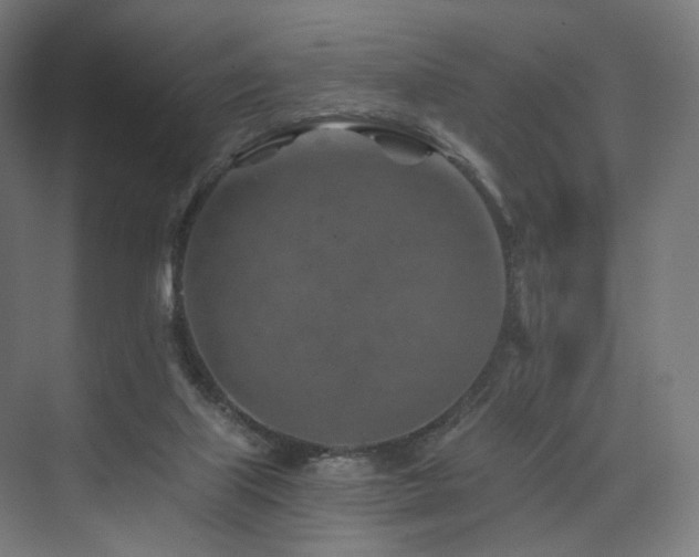 X0000074040067200608211529