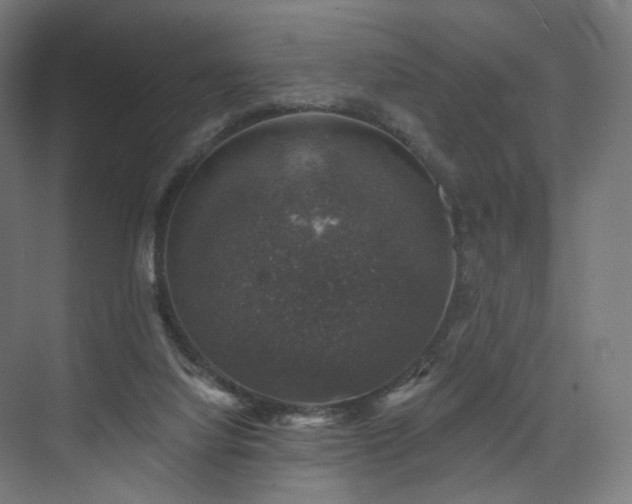 X0000074040068200608211529