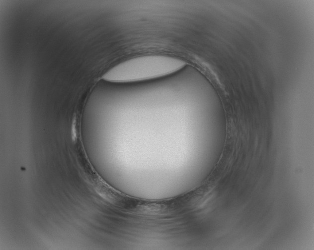 X0000074040069200608211529