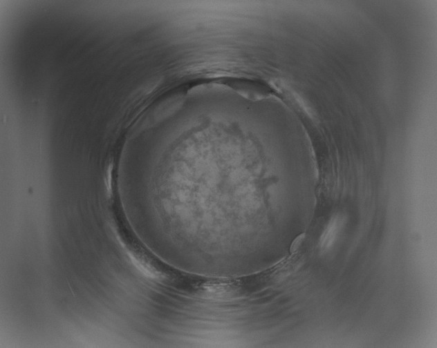 X0000074040070200608211529