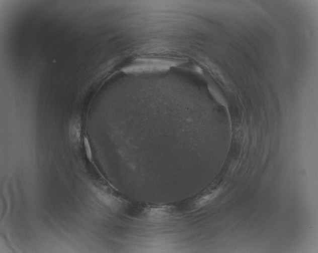 X0000074040072200608211529