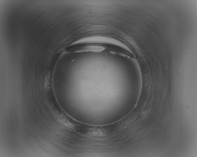 X0000074040073200608211529