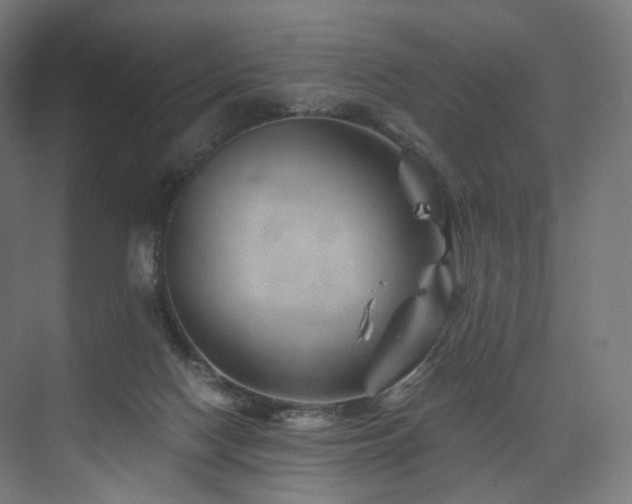 X0000074040074200608211529