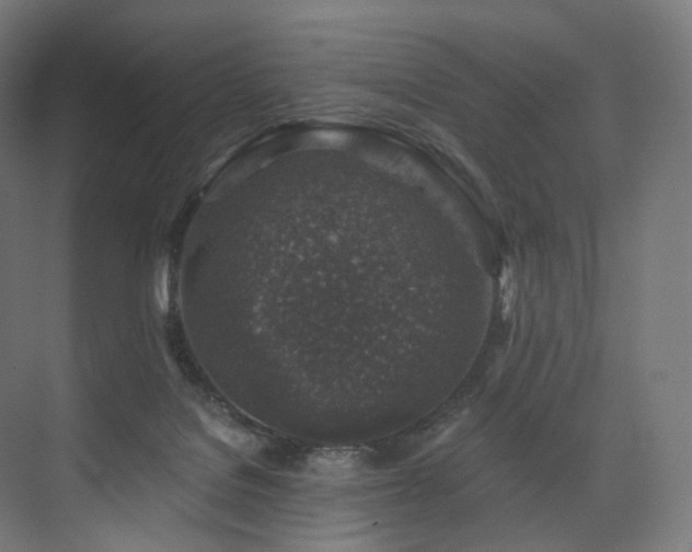 X0000074040076200608211529