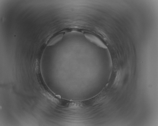 X0000074040077200608211529