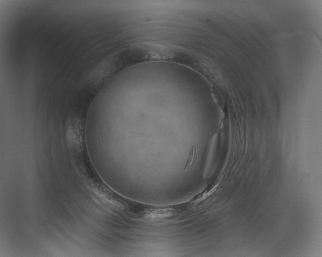 X0000074040078200608211529