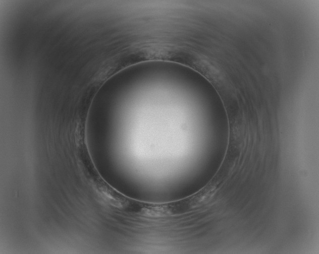 X0000074040079200608211529