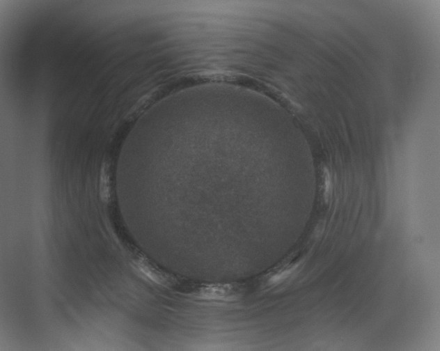 X0000074040080200608211529