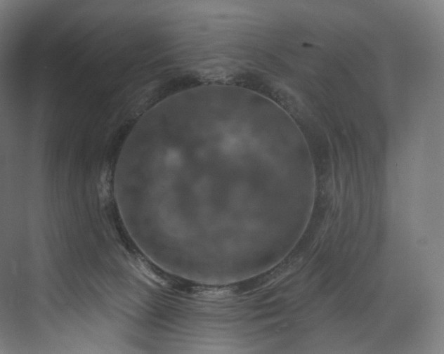 X0000074040081200608211529