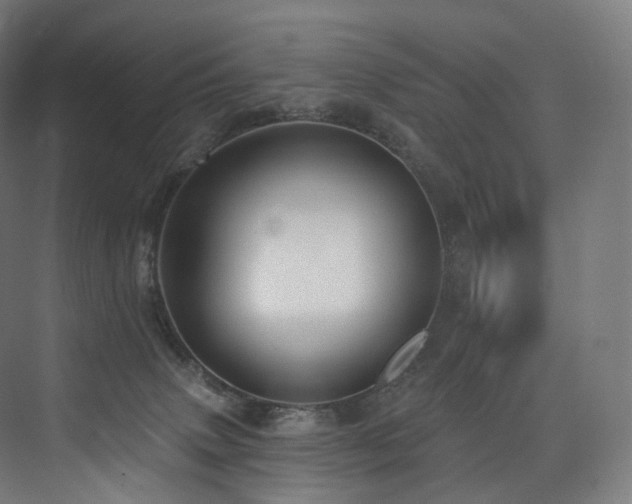 X0000074040083200608211529