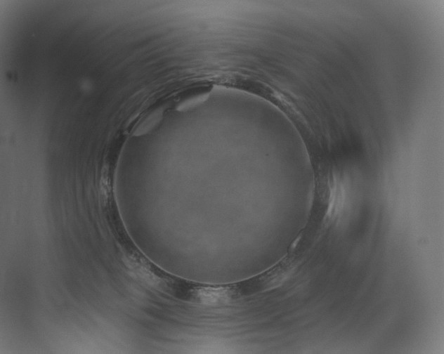 X0000074040085200608211529