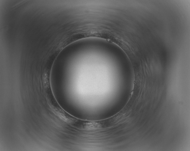 X0000074040087200608211530