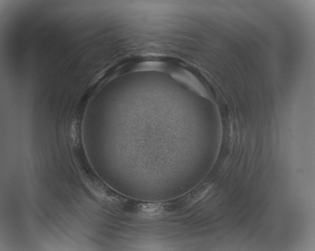 X0000074040088200608211530