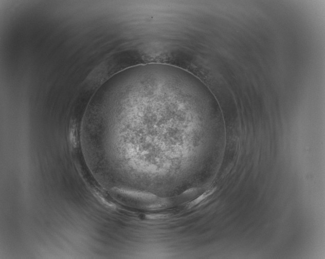 X0000074040090200608211530