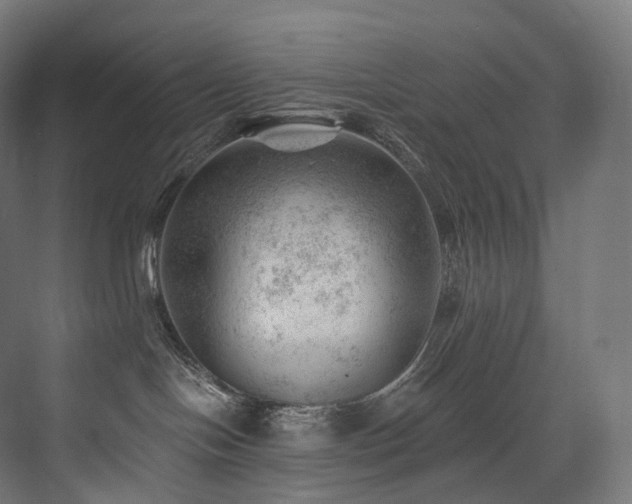 X0000074040094200608211530