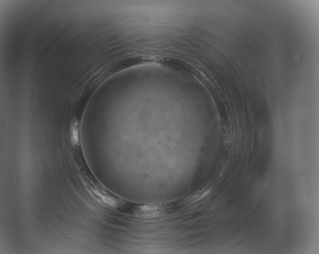 X0000074040095200608211530