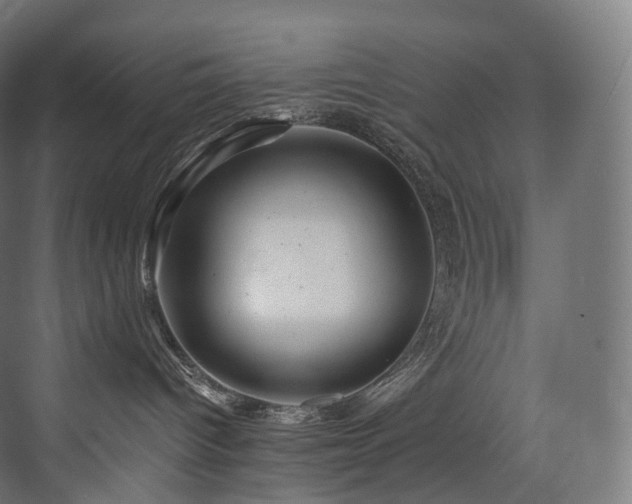 X0000074040096200608211530