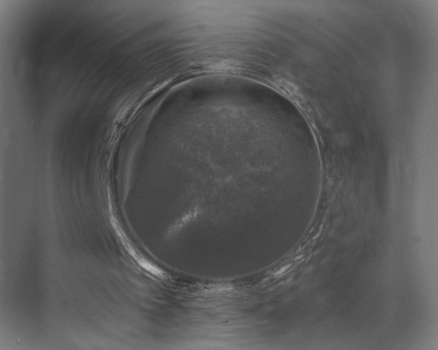 X0000074040097200608211529