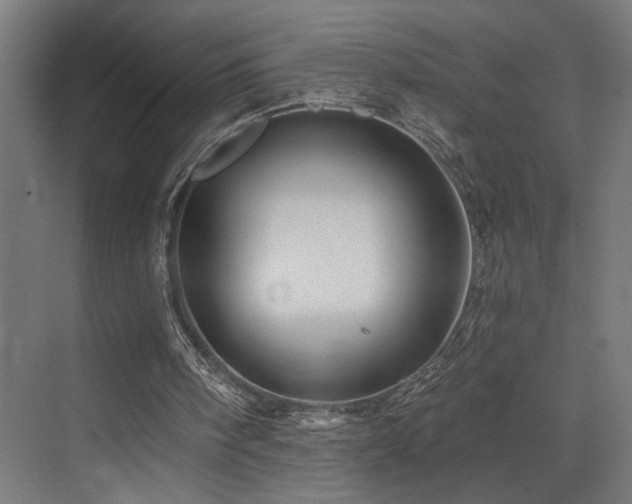 X0000074040098200608211529