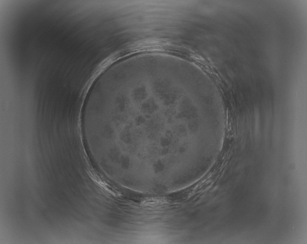 X0000074040099200608211529