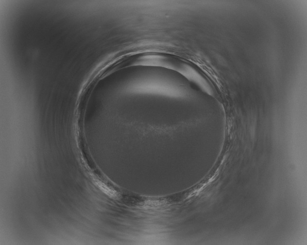 X0000074040101200608211529