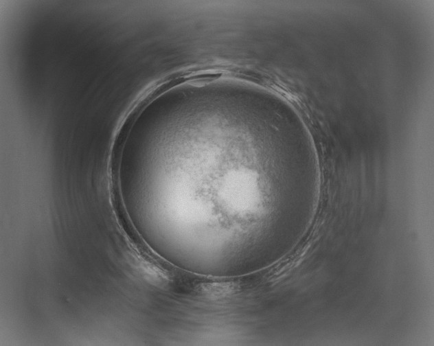 X0000074040102200608211529