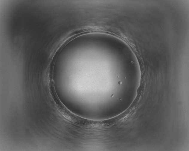 X0000074040103200608211529