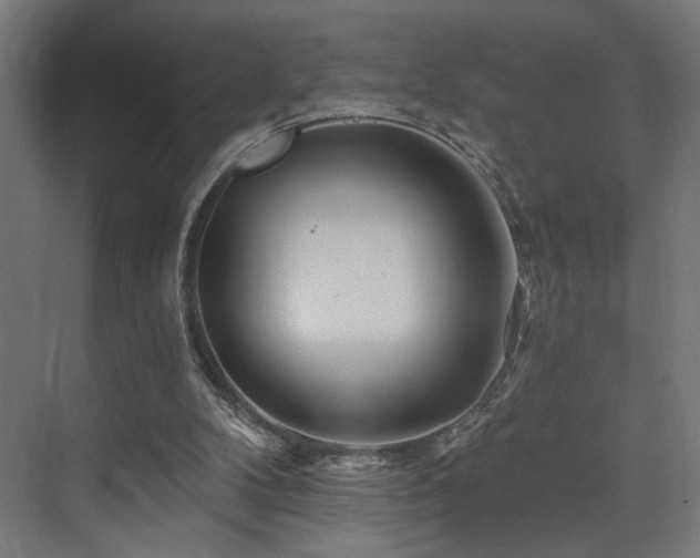 X0000074040104200608211529