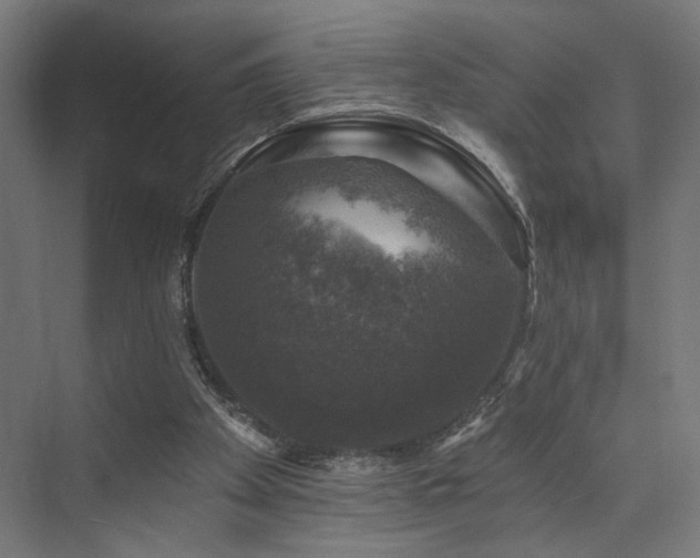 X0000074040105200608211529