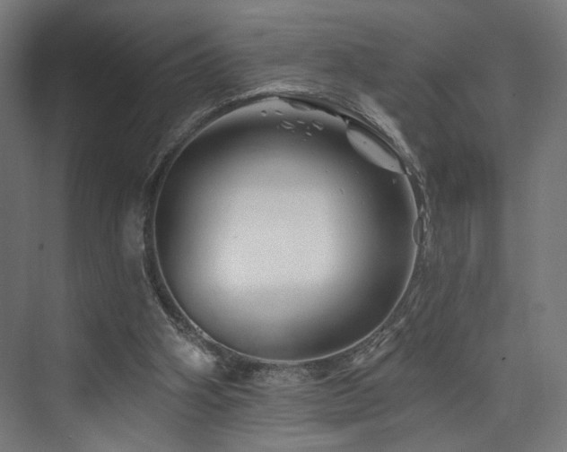 X0000074040106200608211529