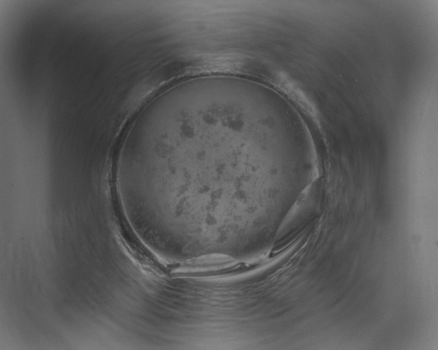 X0000074040107200608211529