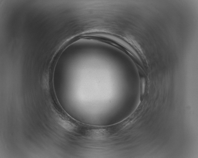 X0000074040108200608211529