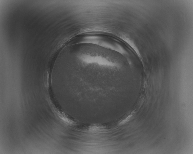 X0000074040109200608211529