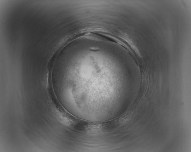 X0000074040110200608211529