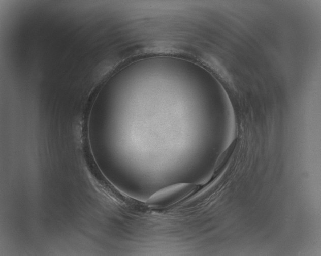 X0000074040111200608211529