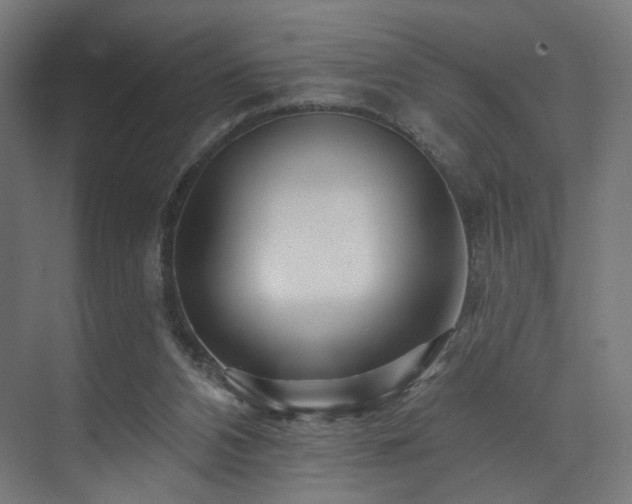 X0000074040112200608211529