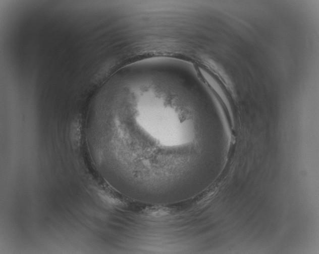 X0000074040113200608211529