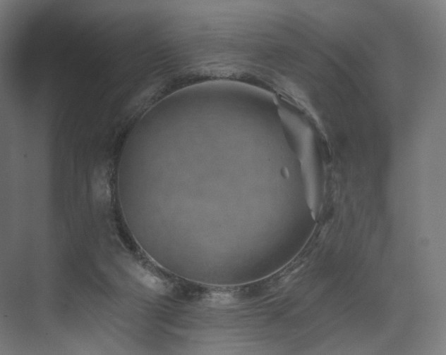 X0000074040114200608211529