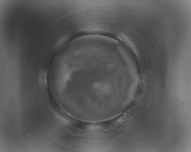 X0000074040115200608211529