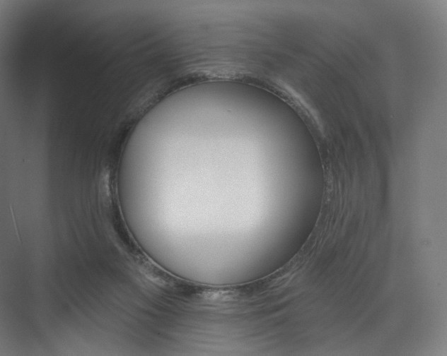 X0000074040117200608211529