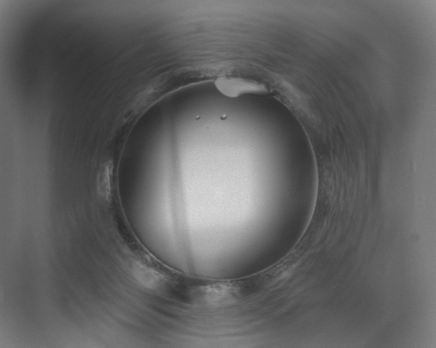 X0000074040118200608211529