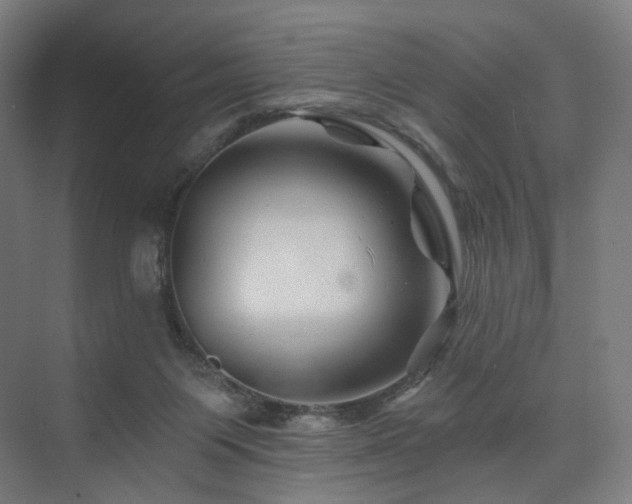 X0000074040119200608211528