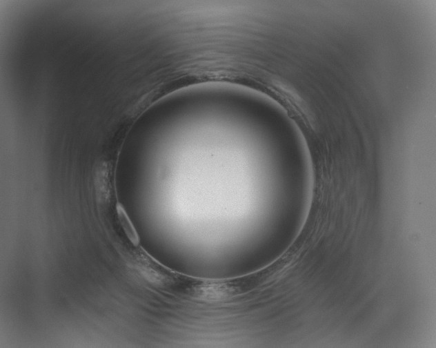 X0000074040121200608211528