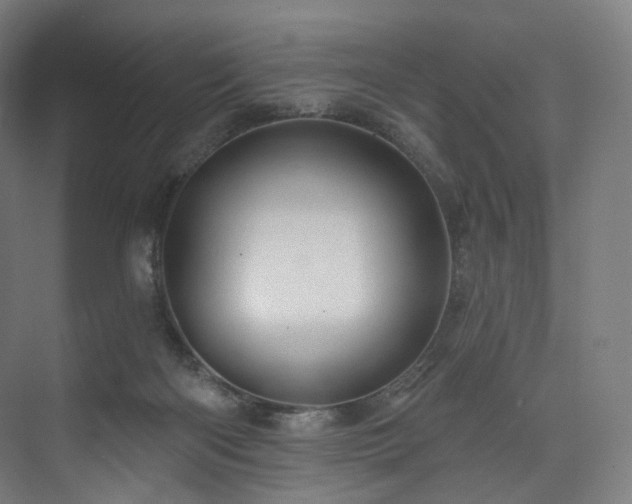 X0000074040122200608211528