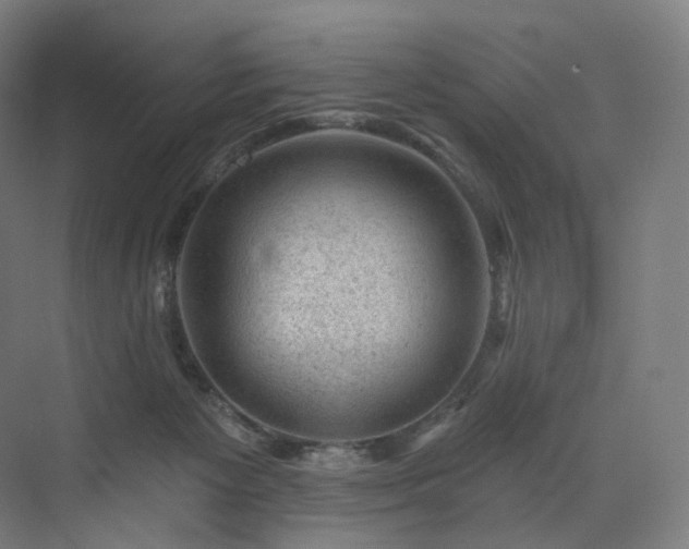 X0000074040125200608211528