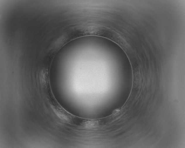 X0000074040126200608211528