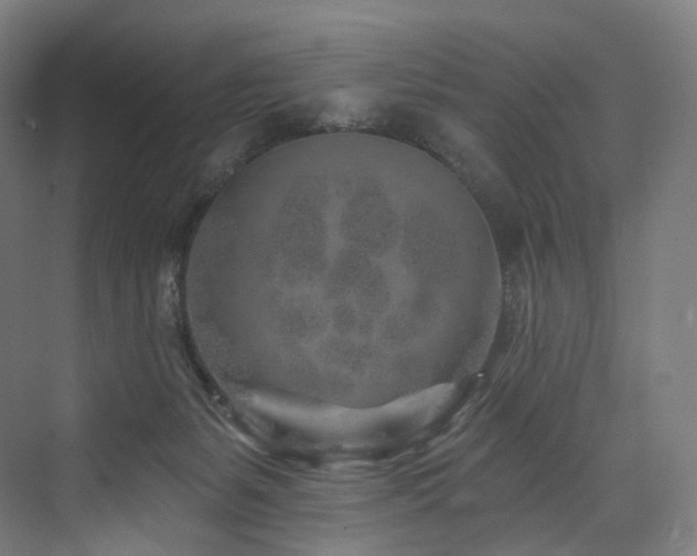 X0000074040127200608211528