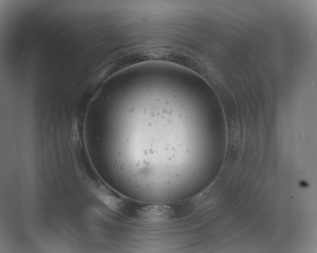 X0000074040128200608211528