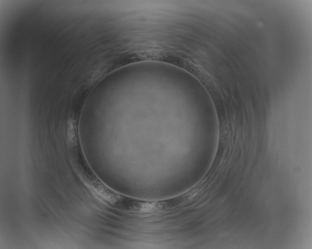 X0000074040130200608211528